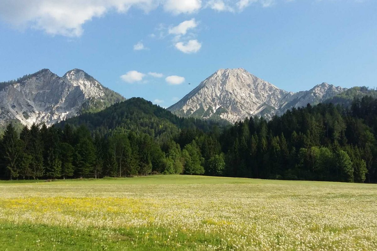 Kogel vom Thal aus
