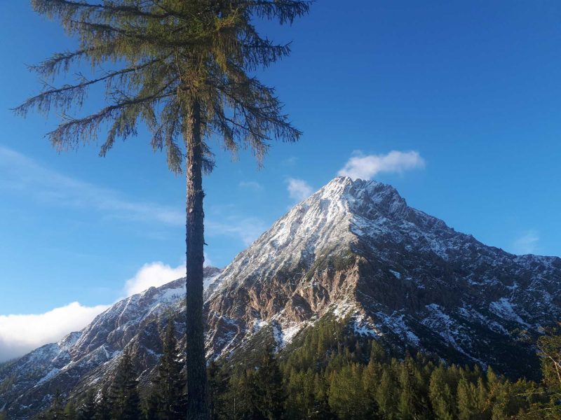 Angeschneiter Mittagskogel