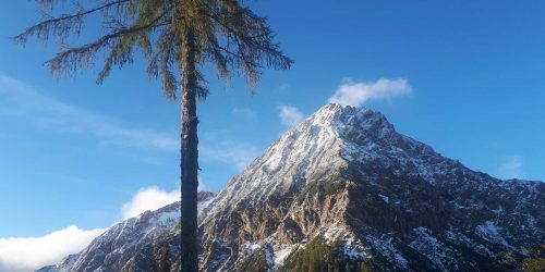 Angeschneiter Mittagskogel